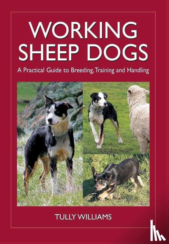 Williams, Tully - Working Sheep Dogs