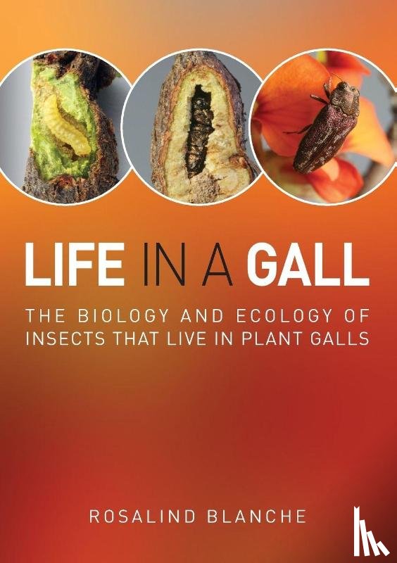 Blanche, Rosalind - Life in a Gall
