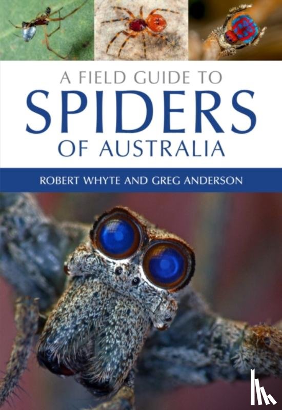 Whyte, Robert, Anderson, Greg - A Field Guide to Spiders of Australia