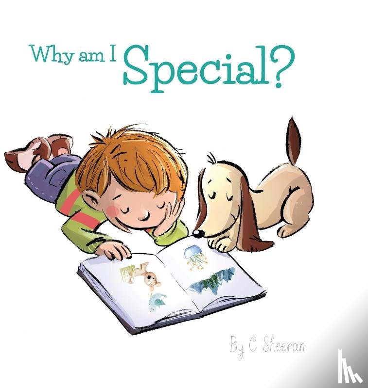 Sheeran, C - Why Am I Special?