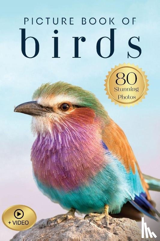 Dove, Silver - Picture Book of Birds