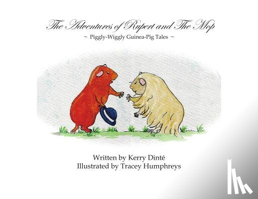 Dinte, Kerry - The Adventures of Rupert and The Mop
