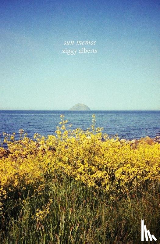Alberts, Ziggy - sun memos