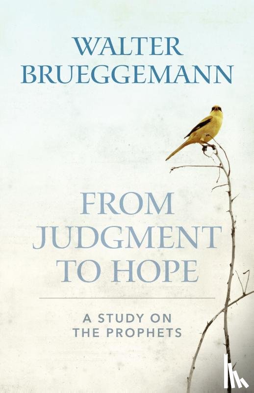 Brueggemann, Walter - From Judgment to Hope