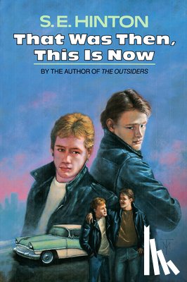 Hinton, S. E. - That Was Then, This Is Now
