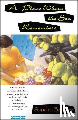 Aamodt, Sandra - A Place Where the Sea Remembers