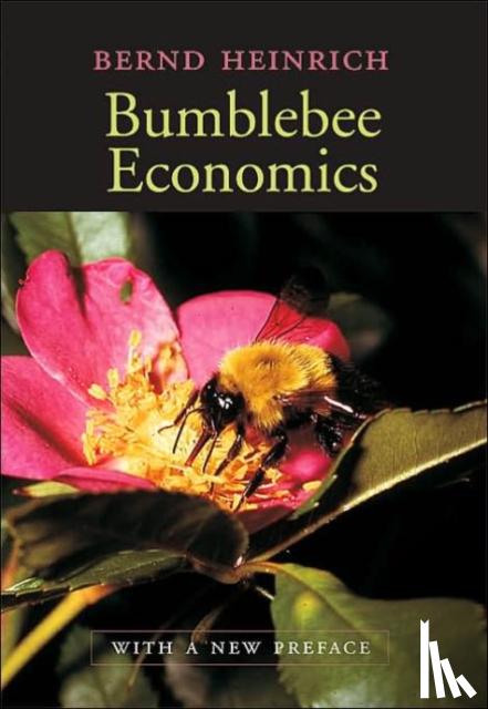 Heinrich, Bernd - Bumblebee Economics