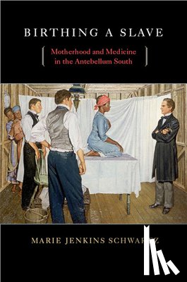 Schwartz, Marie Jenkins - Birthing a Slave
