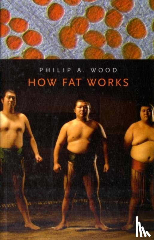 Wood, Philip A. - How Fat Works
