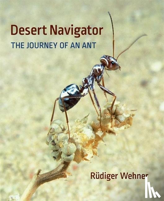 Wehner, Rudiger - Desert Navigator