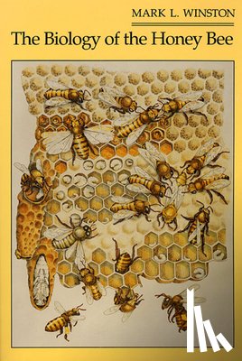Winston, Mark L. - The Biology of the Honey Bee