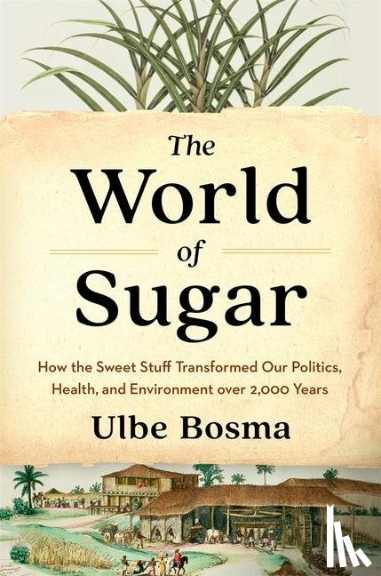 Bosma, Ulbe - The World of Sugar