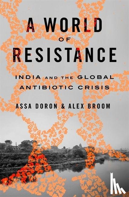Doron, Assa, Broom, Alex - A World of Resistance