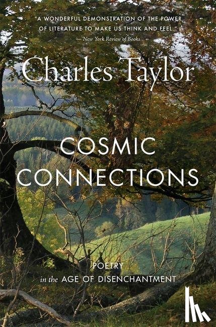 Taylor, Charles - Cosmic Connections