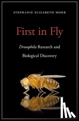 Mohr, Stephanie Elizabeth - First in Fly