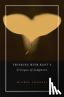 Chaouli, Michel - Thinking with Kant’s Critique of Judgment