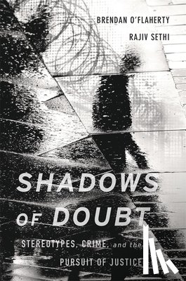 O'Flaherty, Brendan, Sethi, Rajiv - Shadows of Doubt