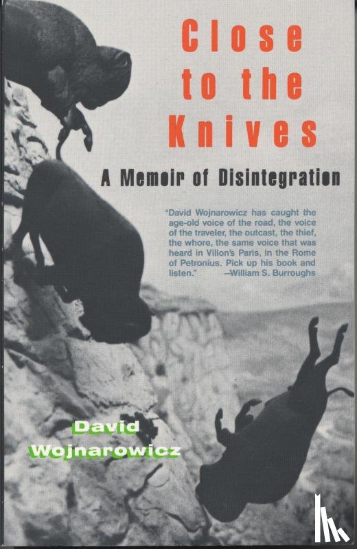 Wojnarowicz, David - Close to the Knives