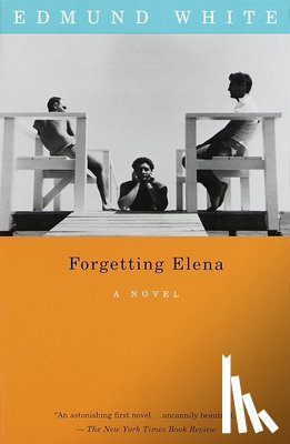 White, Edmund - Forgetting Elena