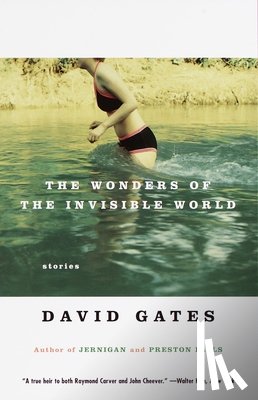 Gates, David - The Wonders of the Invisible World