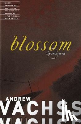 Vachss, Andrew - Blossom