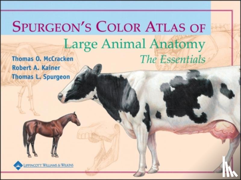 McCracken, Thomas O., Kainer, Robert A., Spurgeon, Thomas L. - Spurgeon's Color Atlas of Large Animal Anatomy
