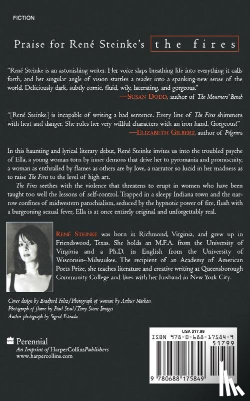 Steinke, Rene - The Fires