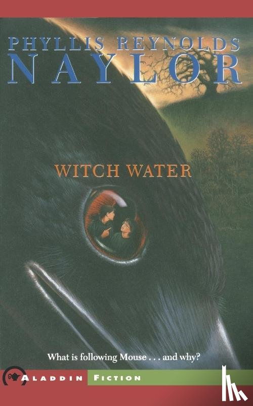 Naylor, Phyllis Reynolds - Witch Water