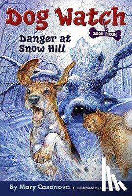 Casanova, Mary - Danger at Snow Hill