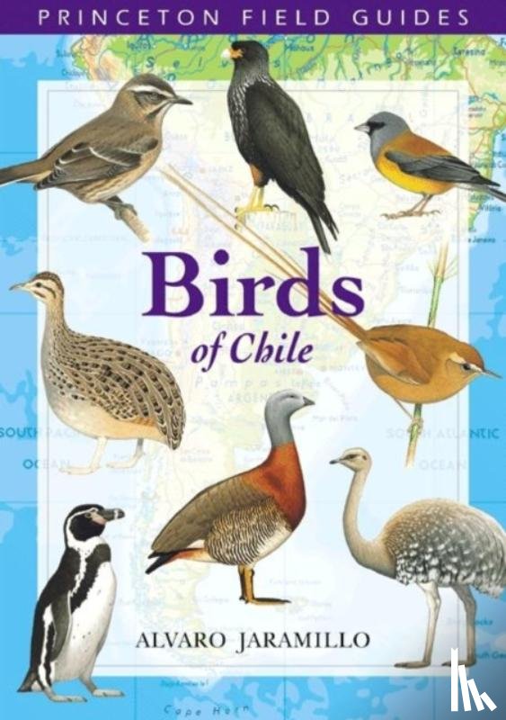 Jaramillo, Alvaro - Birds of Chile