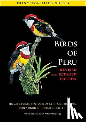 Schulenberg, Thomas S., Stotz, Douglas F., Lane, Daniel F., O'Neill, John P. - Birds of Peru