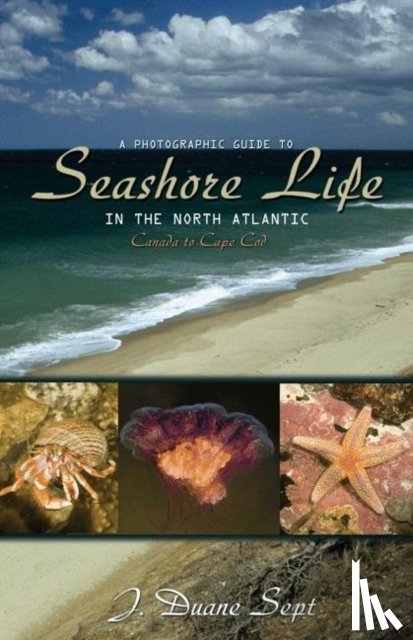 Sept, J. Duane - A Photographic Guide to Seashore Life in the North Atlantic