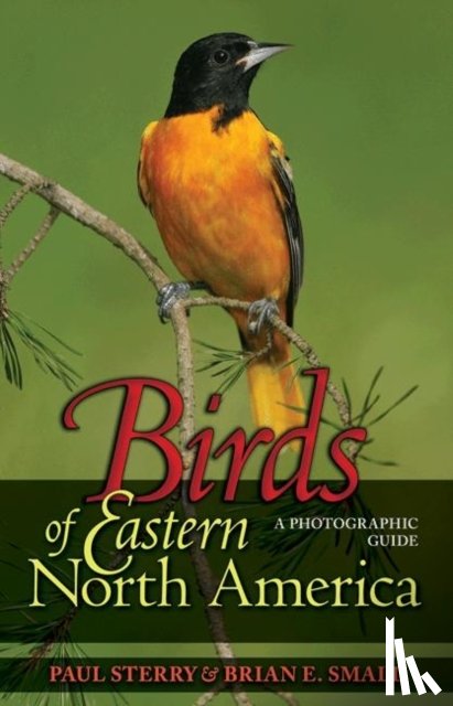 Sterry, Paul, Small, Brian E. - Birds of Eastern North America
