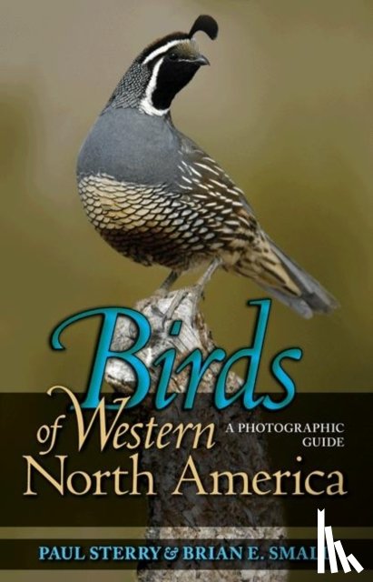 Sterry, Paul, Small, Brian E. - Birds of Western North America