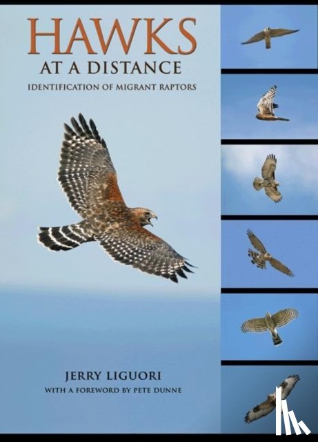 Liguori, Jerry - Hawks at a Distance