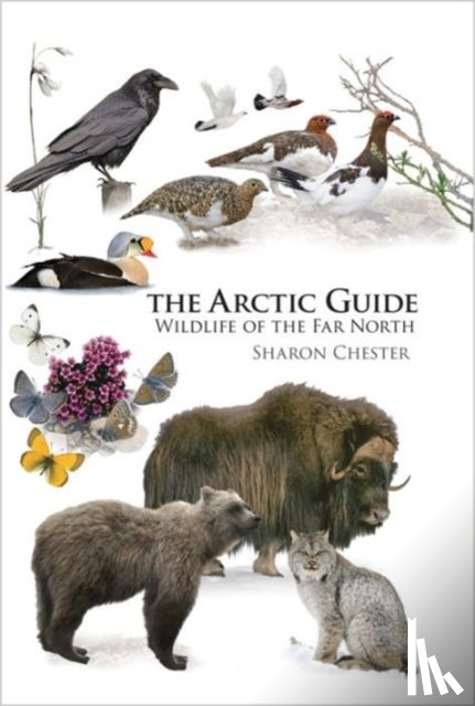 Chester, Sharon - The Arctic Guide