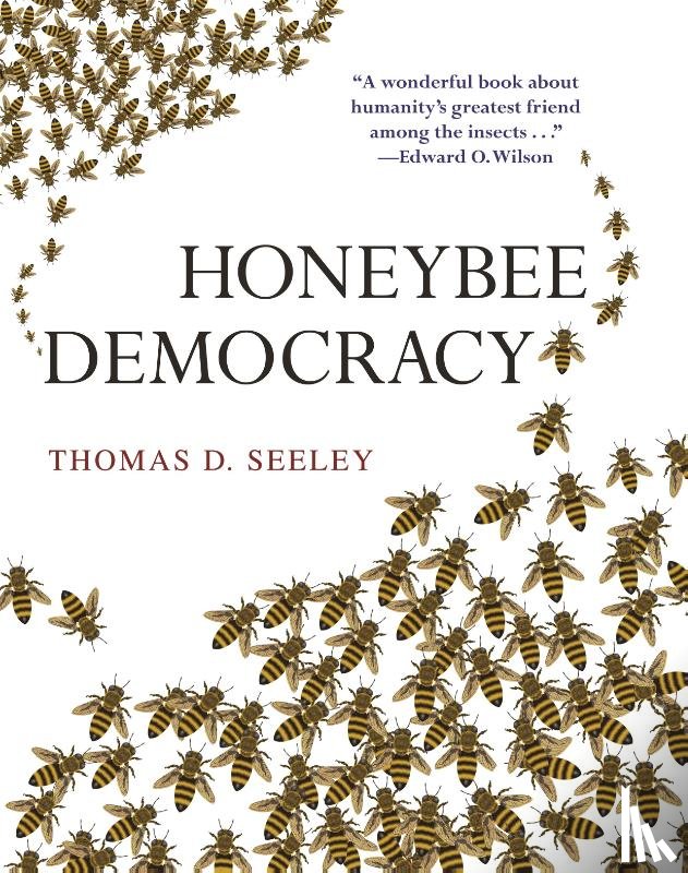 Seeley, Thomas D. - Honeybee Democracy