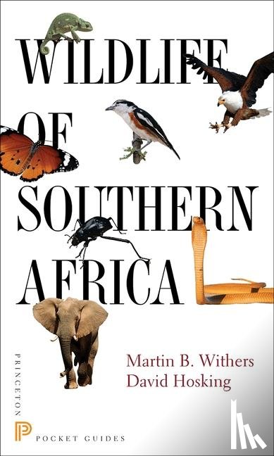 Withers, Martin B, Hosking, David - Wildlife of Southern Africa