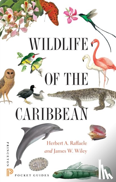 Raffaele, Herbert A., Wiley, James - Wildlife of the Caribbean