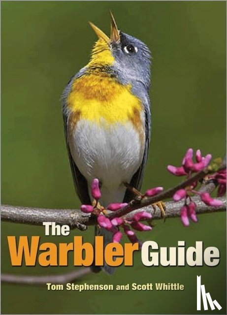 Stephenson, Tom, Whittle, Scott - The Warbler Guide