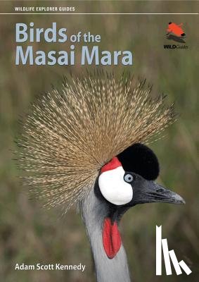 Kennedy, Adam Scott - Birds of the Masai Mara