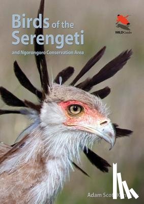 Kennedy, Adam Scott - Birds of the Serengeti