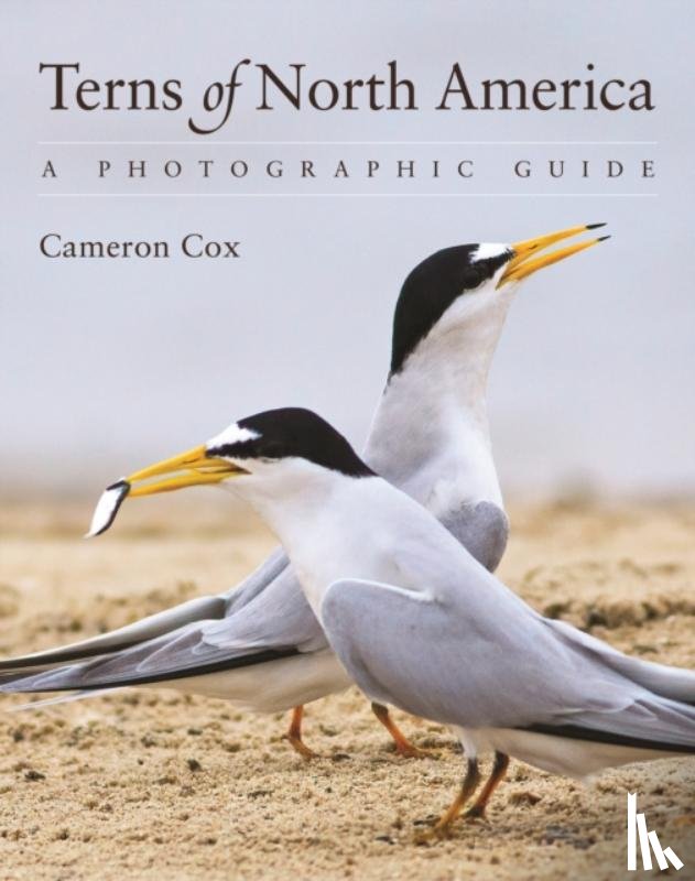 Cox, Cameron - Terns of North America