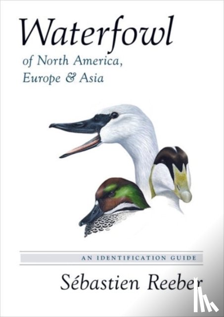 Reeber, Sebastien - Waterfowl of North America, Europe, and Asia