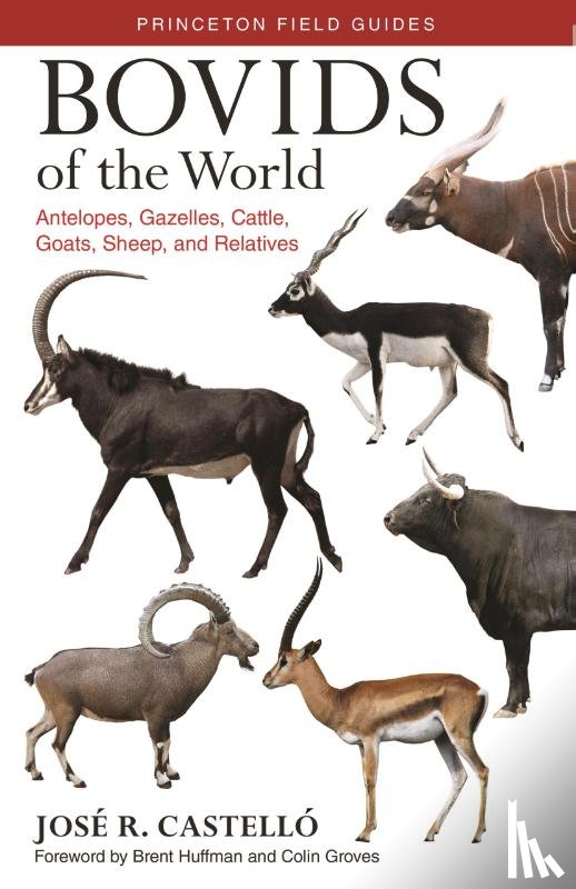 Castello, Dr. Jose R. - Bovids of the World