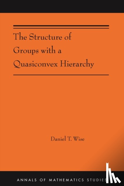 Wise, Daniel T. - The Structure of Groups with a Quasiconvex Hierarchy