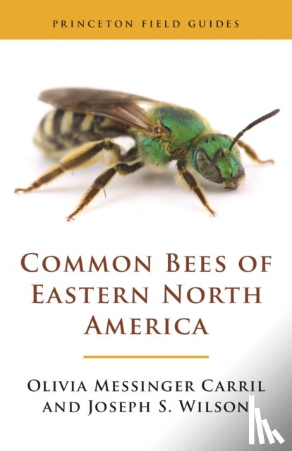 Carril, Olivia Messinger, Wilson, Joseph S. - Common Bees of Eastern North America