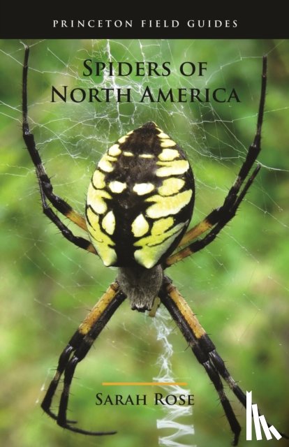Rose, Sarah - Spiders of North America