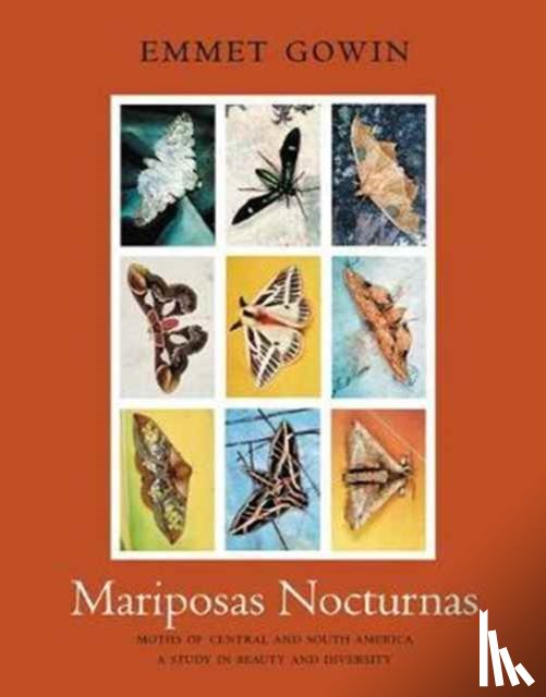 Gowin, Emmet - Mariposas Nocturnas