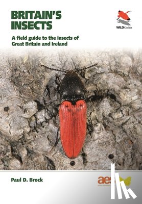 Brock, Dr. Paul D. - Britain's Insects